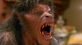 American Werewolf in London still