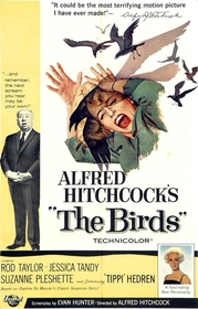 Birds poster