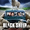Black Sheep 2006 poster