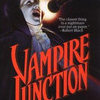 Vampire Junction book