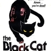 Black Cat 1981 poster