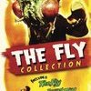 The Fly Collection
