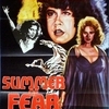 Summer of Fear poster